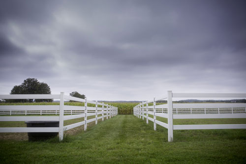  Fencing & Wall Railings